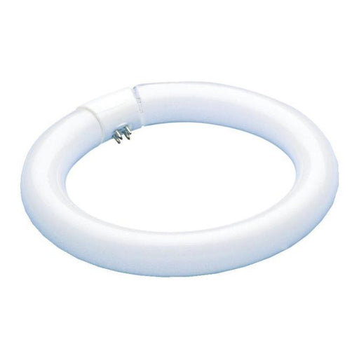40 Watt T9 Circular Fluorescent Light Bulb