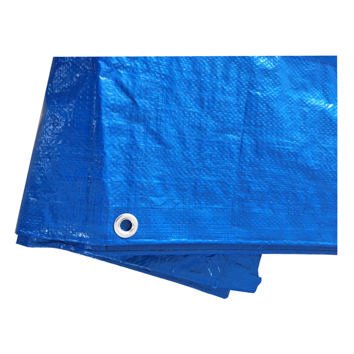 Tarp