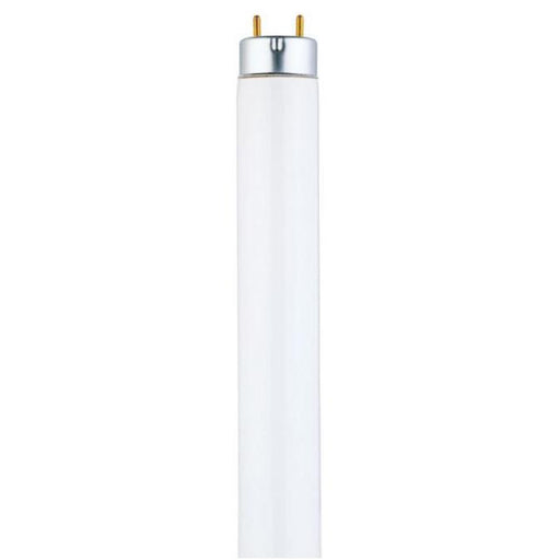 32 Watt T8 Linear Fluorescent Light Bulb