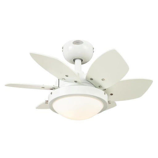Quince 24-Inch Reversible Six-Blade Indoor Ceiling Fan