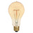 40 Watt A23 Timeless Vintage Inspired Bulb