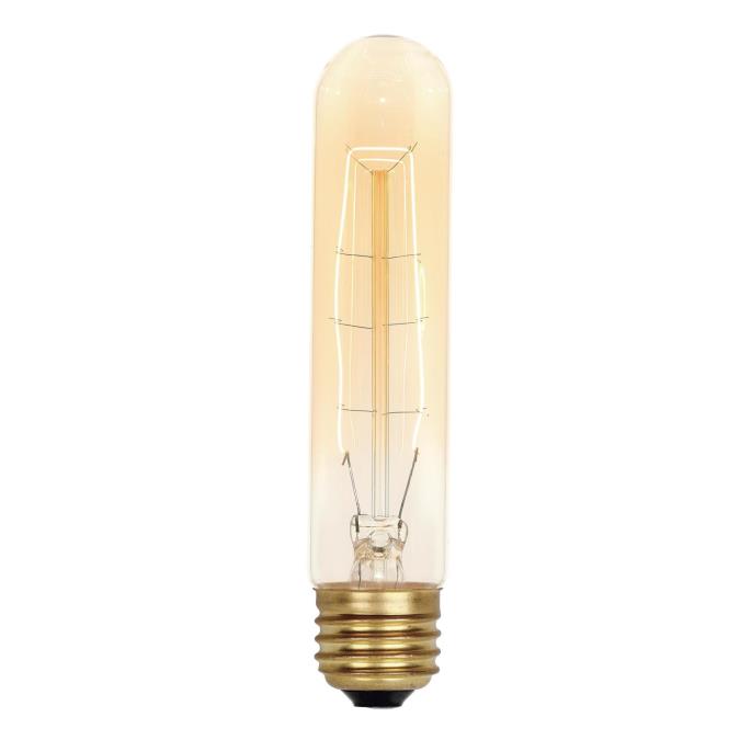60 Watt T9 Timeless Vintage Inspired Bulb