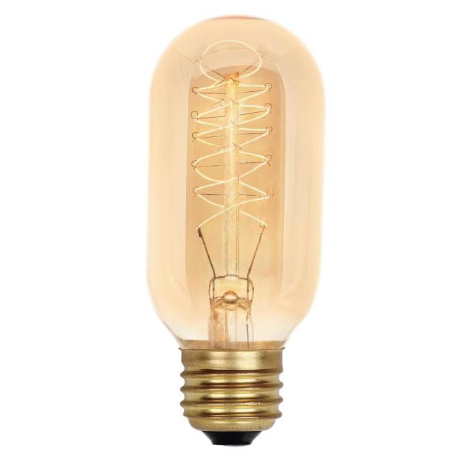 40 Watt T14 Timeless Vintage Inspired Bulb