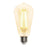 5 Watt (40 Watt Equivalent) ST20 Dimmable Filament LED Light Bulb