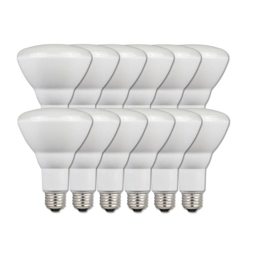 9 Watt (65 Watt Equivalent) BR30 Flood Dimmable LED Light Bulb ENERGY STAR