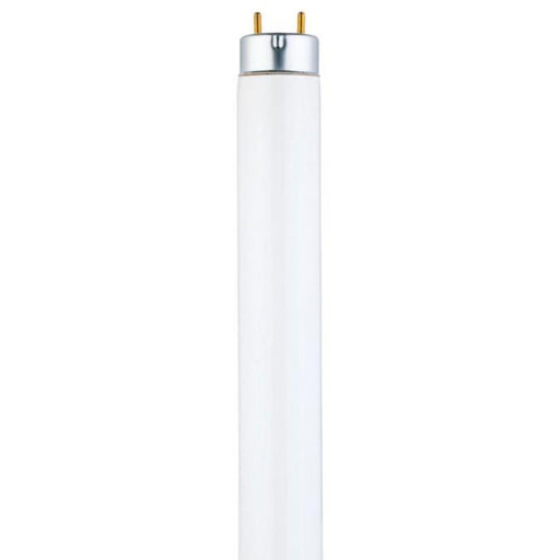32 Watt T8 Linear Fluorescent Light Bulb