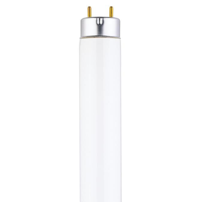 17 Watt T8 Linear Fluorescent Light Bulb