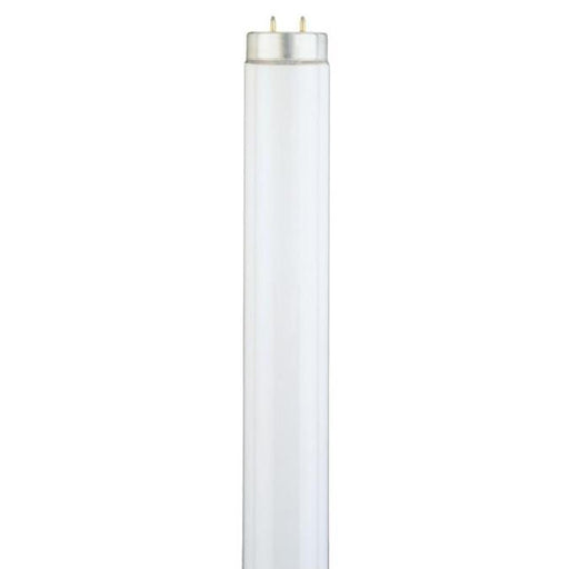 40 Watt T12 Linear Fluorescent Light Bulb