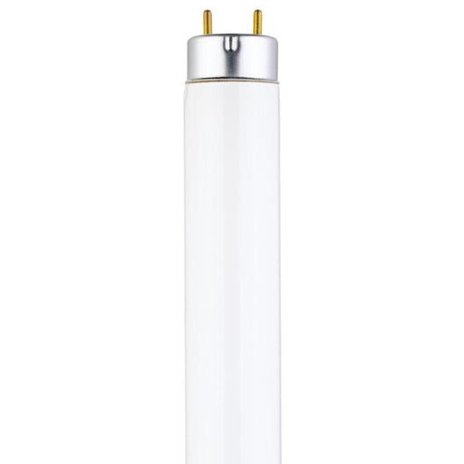 15 Watt T8 Linear Fluorescent Light Bulb