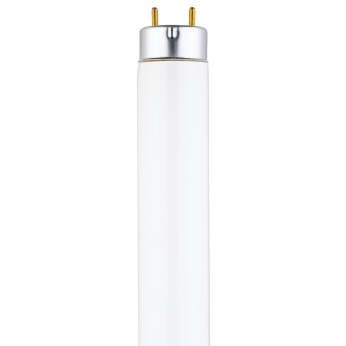 15 Watt T8 Linear Fluorescent Light Bulb