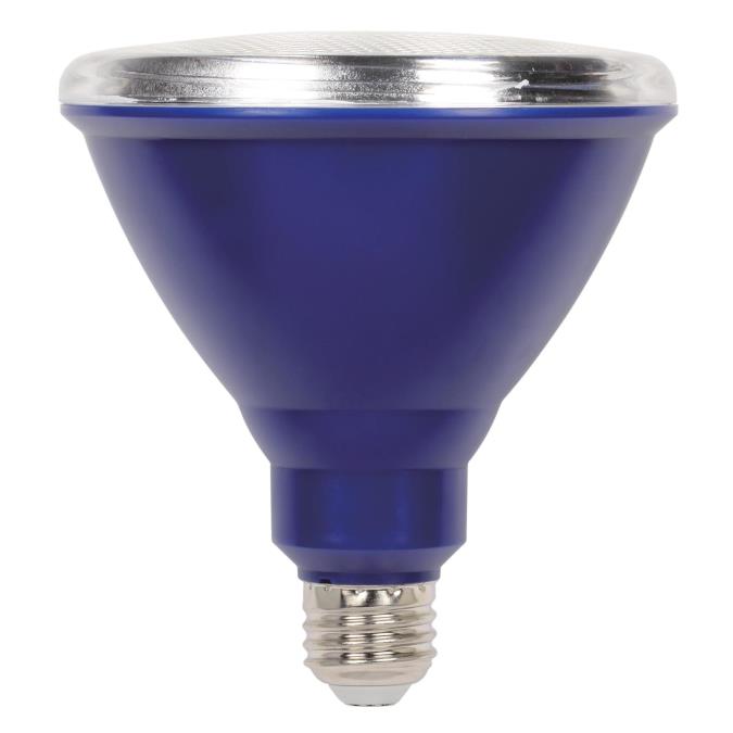 15 Watt (100 Watt Equivalent) PAR38 Flood Outdoor LED Light Bulb Weatherproof