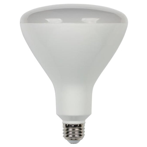 16-1/2 Watt (85 Watt Equivalent) R40 Flood Dimmable LED Light Bulb ENERGY STAR