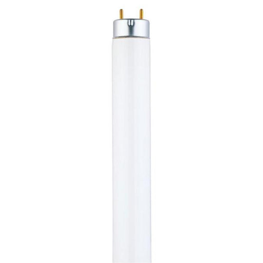 25 Watt T8 Linear Fluorescent Light Bulb