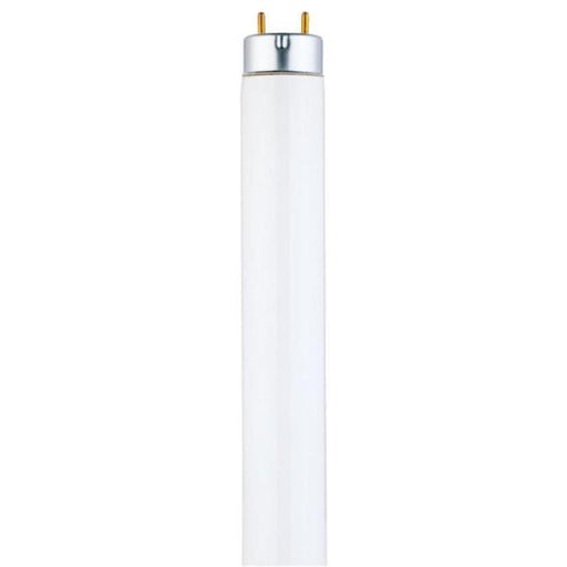 28 Watt T8 Linear Fluorescent Light Bulb