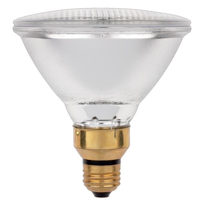 60 Watt PAR38 Eco-PAR Halogen Flood Light Bulb