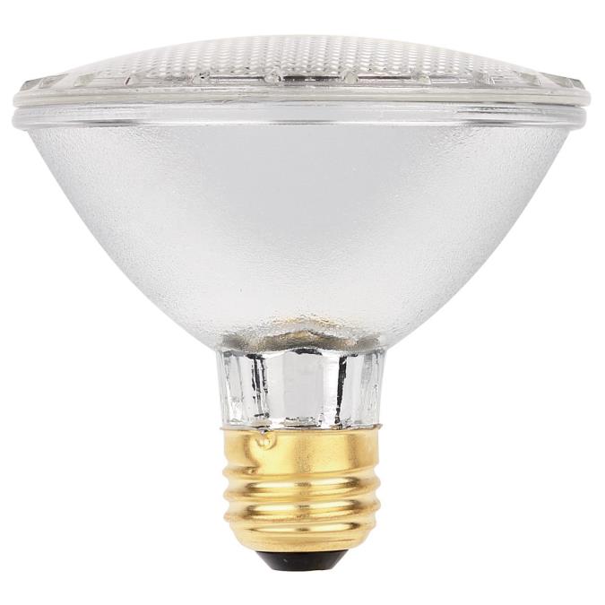 60 Watt PAR30 Eco-PAR Halogen Flood Light Bulb