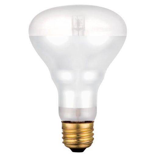 55 Watt BR25 Flood Eco-Halogen Light Bulb