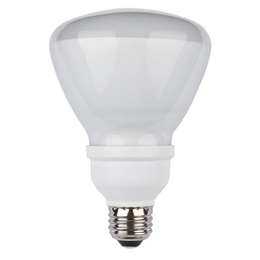 15 Watt BR30 CFL Light Bulb