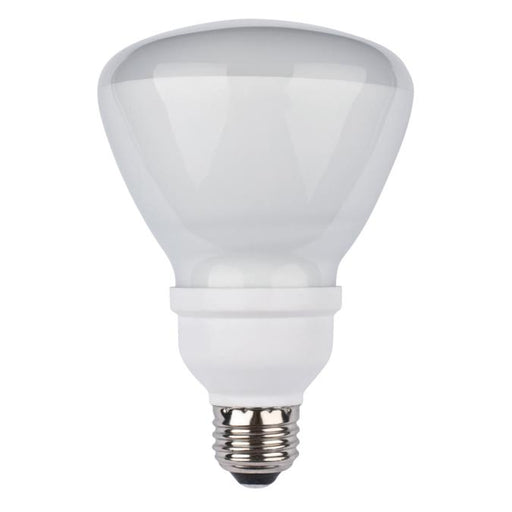 15 Watt R30 CFL Light Bulb