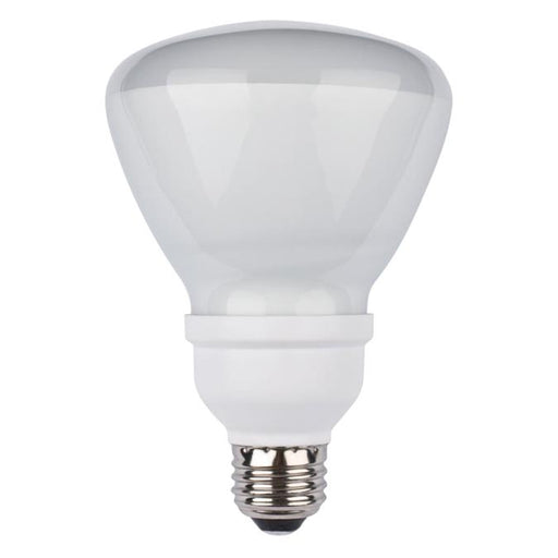 15 Watt R30 CFL Light Bulb