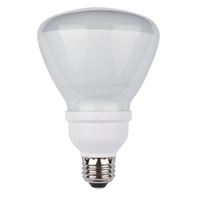 15 Watt R30 CFL Light Bulb