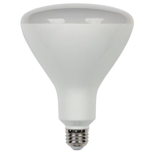 16-1/2 Watt (85 Watt Equivalent) R40 Flood Dimmable LED Light Bulb ENERGY STAR