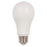 15 Watt (100 Watt Equivalent) Omni A19 LED Light Bulb ENERGY STAR