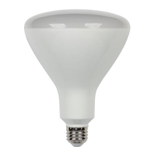 16-1/2 Watt (85 Watt Equivalent) R40 Flood Dimmable LED Light Bulb ENERGY STAR