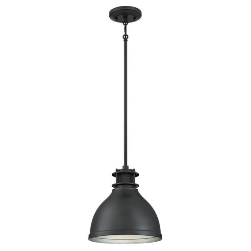 One-Light Indoor Pendant