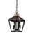 Valley Forge Two-Light Indoor Pendant