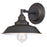 Iron Hill One-Light Indoor Wall Fixture