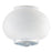 Frosted and Clear Glass Shade 6-Pack